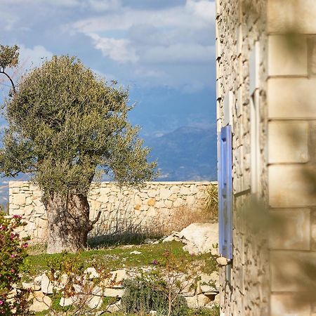 Orelia Cretan Deluxe Apartments 卡米拉日 外观 照片